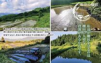 【栃窪の棚田米限定】南魚沼&nbsp;しおざわ&nbsp;栃窪産&nbsp;コシヒカリ&nbsp;5kg&nbsp;日熊の米&nbsp;農家のこだわり&nbsp;棚田&nbsp;こしひかり&nbsp;農家直送&nbsp;減農薬&nbsp;新潟県認証&nbsp;エコファーマー&nbsp;ベストファーマー&nbsp;新潟県&nbsp;南魚沼市&nbsp;&nbsp;特A&nbsp;お米&nbsp;こめ&nbsp;白米&nbsp;コメ&nbsp;食品&nbsp;人気&nbsp;おすすめ&nbsp;送料無料