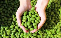 【井上誠耕園】～2025年初搾り～&nbsp;小豆島産手摘み緑果オリーブオイル&nbsp;(135g×5本)