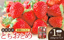 いちご&nbsp;とちおとめ&nbsp;1kg&nbsp;(&nbsp;250g&nbsp;×&nbsp;4パック&nbsp;)&nbsp;苺&nbsp;イチゴ&nbsp;果物&nbsp;くだもの&nbsp;フルーツ&nbsp;先行予約&nbsp;ご当地&nbsp;お取り寄せ&nbsp;産地直送&nbsp;朝摘み&nbsp;人気&nbsp;おすすめ&nbsp;宮城