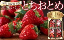 いちご&nbsp;とちおとめ&nbsp;1kg&nbsp;(&nbsp;250g&nbsp;×&nbsp;4パック&nbsp;)&nbsp;苺&nbsp;イチゴ&nbsp;果物&nbsp;くだもの&nbsp;フルーツ&nbsp;先行予約&nbsp;ご当地&nbsp;お取り寄せ&nbsp;産地直送&nbsp;朝摘み&nbsp;人気&nbsp;おすすめ&nbsp;宮城