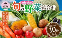 【ニセコ町産】旬の野菜詰合せ　2024年発送【先行予約】