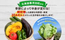 【ニセコ町産】旬の野菜詰合せ　2024年発送【先行予約】