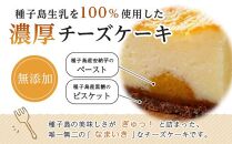 N168 菓子処渡辺　生粋(ナマイキ)チーズケーキ 2本セット