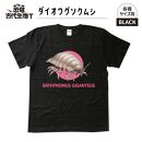 恐竜・古代生物Tシャツ　ダイオウグソクムシ 028　サイズ100（キッズ・ユニセックス）