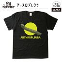 恐竜・古代生物Tシャツ　アースロプレウラ　サイズM（レギュラー）