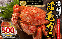 【着日指定可】北海道オホーツク産海明け活毛ガニ&nbsp;ボイル&nbsp;(チルド&nbsp;冷蔵配送)　500g前後　1尾_03499