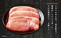 日本の米育ち平田牧場　三元豚ロースブロック600g・挽肉300g