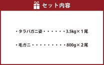 かに太郎の厳選便　タラバガニ3.5kg　毛ガニ800g×２