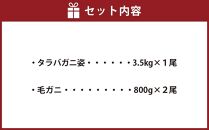 かに太郎の厳選便　タラバガニ3.5kg　毛ガニ800g×２_03506