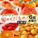 わかやま旬のくだもの定期便 全6回【Ｓ】【1・3・6・7・10・11月発送 】※北海道・沖縄・離島への配送不可 S6-f