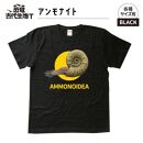 恐竜・古代生物Tシャツ　アンモナイト　サイズ140（キッズ・ユニセックス）