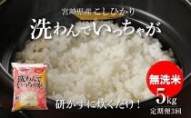 無洗米コシヒカリ 洗わんでいっちゃが５kg×３回定期便 計15kg K23_T006