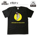 恐竜・古代生物Tシャツ　メガロドン 047　サイズ100（キッズ・ユニセックス）