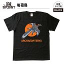 恐竜・古代生物Tシャツ　始祖鳥 049　サイズＳ（レギュラー）