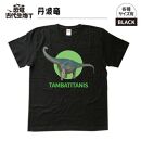 恐竜・古代生物Tシャツ　丹波竜 050　サイズＳ（レギュラー）