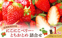【JAみやぎ仙南】宮城県角田市産いちご　にこにこベリー・とちおとめ詰合せ　合計約1kg（250g×4パック）