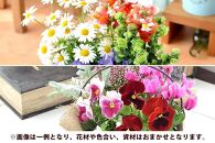【定期便全3回】季節のお花 寄せ植え 3回コース