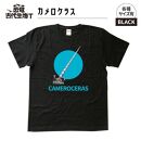 恐竜・古代生物Tシャツ　カメロケラス 　サイズ100（キッズ・ユニセックス）