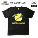 恐竜・古代生物Tシャツ　ケツァルコアトルス　サイズ100（キッズ・ユニセックス）