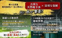 【お試し】鹿児島県産長蒲焼特大1尾（200g以上×1尾）【鰻 国産うなぎ蒲焼き たれ うな重 ひつまぶし ウナギ 蒲焼 特大 人気 おすすめ 鹿児島県 大崎町 A931】