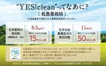 【令和６年産・無洗米・真空パック・低農薬栽培】 あさひかわ産 ななつぼし ２kg×３袋（合計６kg）定期便２ヶ月 _03139