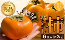 柿(種無し) 6個入 (約2kg)  秀品大玉【2024年9月下旬頃より発送】【KT1】