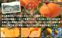 柿(種無し) 6個入 (約2kg)  秀品大玉【2025年9月下旬から10月下旬頃発送】【KT1】