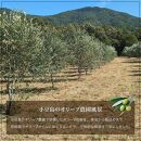 【ギフト用】小豆島産100％エキストラバージン（EXV）オリーブオイル(単品）100ml×10本