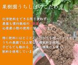 和歌山県産 濃厚な甘さ 完熟有田みかん 10kg 農家直送