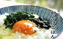 島乃香&nbsp;希少糖入り小豆島産のりつくだ煮150g×10袋