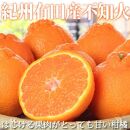【訳あり】季節の柑橘定期便（みかん・不知火・清見オレンジ） 全3回 【1・2・3月発送】