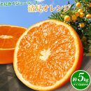 季節の柑橘と巨峰の定期便（みかん・不知火・清見オレンジ・巨峰） 全4回 【1・2・3・8月発送】