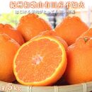 季節の柑橘とシャインマスカットの定期便（不知火・清見オレンジ・シャインマスカット） 全3回 【2・3・8月発送】