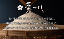 夢つくし 玄米 PREMIUMパック 160g×24パック パックご飯 玄米パック 非常食 保存食 福岡県産