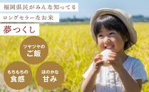夢つくし 玄米 PREMIUMパック 160g×24パック パックご飯 玄米パック 非常食 保存食 福岡県産