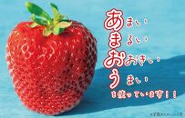 【あまおう95%】いちごの冷凍ピューレ 1200g(200g×6)