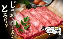 厳選部位 博多和牛 サーロイン しゃぶしゃぶすき焼き用 600g ( 300g×2パック ) | 牛肉 和牛 黒毛和牛 牛 スライス 小分け しゃぶしゃぶ すき焼き すきやき 焼きしゃぶ お鍋 鍋 お取り寄せ グルメ 福岡県 大川市