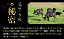 厳選部位 博多和牛 サーロイン しゃぶしゃぶすき焼き用 600g ( 300g×2パック ) | 牛肉 和牛 黒毛和牛 牛 スライス 小分け しゃぶしゃぶ すき焼き すきやき 焼きしゃぶ お鍋 鍋 お取り寄せ グルメ 福岡県 大川市