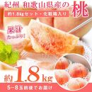 【6・8・10・12月 全4回】和歌山産 旬のフルーツ お楽しみ 定期便 【魚鶴商店】【UT108】