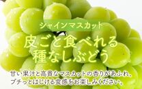 【先行予約】厳選シャインマスカット 1.7kg以上（3～4房）【種なし】フルーツパークOKAYU ※2025年9月中旬より順次発送