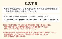 【先行予約】厳選シャインマスカット 1.7kg以上（3～4房）【種なし】フルーツパークOKAYU