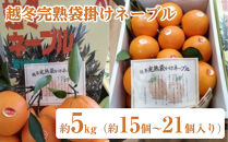 越冬完熟袋掛けネーブル&nbsp;約5kg（約21個）と大粒いちごさぬきひめ&nbsp;2パック