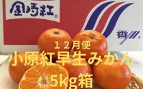 ＜定期便＞坂出の美味しい果物定期便　季節の果物を年間４回に分けてお届け！