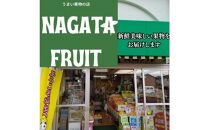 ＜定期便＞四季の美味しい果物詰め　年間４回に分けてお届け！