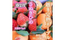 ＜定期便＞四季の美味しい果物詰め　年間４回に分けてお届け！