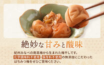 国産はちみつ梅 無添加 梅干し 訳あり つぶれ梅 低塩6% 1kg(500g×2パック) 化学調味料 無添加食品 A-145［KU1］
