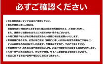 【2026年先行予約】とうもろこしコラボセット!　ピュアホワイト5本×ゴールドラッシュ5本（2026年8月下旬から発送開始予定）【&nbsp;白いとうもろこし&nbsp;人気&nbsp;北海道産&nbsp;糖度&nbsp;生&nbsp;野菜&nbsp;スイートコーン&nbsp;産地直送&nbsp;バーベキュー&nbsp;BBQ&nbsp;コーン&nbsp;旬&nbsp;お取り寄せ&nbsp;旭川市&nbsp;北海道&nbsp;】_03648