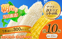 【2026年先行予約】とうもろこしコラボセット!　ピュアホワイト5本×ゴールドラッシュ5本（2026年8月下旬から発送開始予定）【&nbsp;白いとうもろこし&nbsp;人気&nbsp;北海道産&nbsp;糖度&nbsp;生&nbsp;野菜&nbsp;スイートコーン&nbsp;産地直送&nbsp;バーベキュー&nbsp;BBQ&nbsp;コーン&nbsp;旬&nbsp;お取り寄せ&nbsp;旭川市&nbsp;北海道&nbsp;】_03648