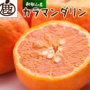 ＜4月より発送＞厳選カラマンダリン3kg+90g（傷み補償分）【希少な春柑橘】【IKE3】