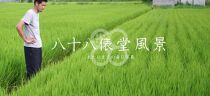 AG01　倉敷産特別栽培米ヒノヒカリ 10kg